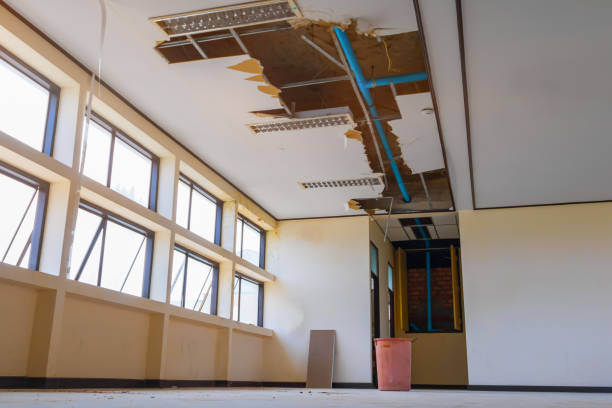 Best Water damage contractors near me  in Middleport, OH