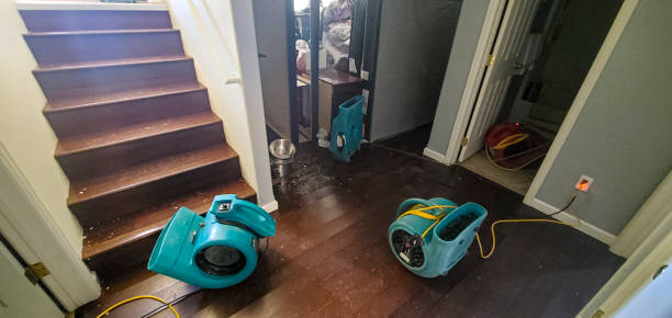 Best Fire Damage Restoration  in Middleport, OH