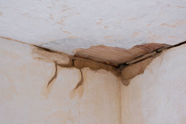 Best Commercial water damage restoration  in Middleport, OH