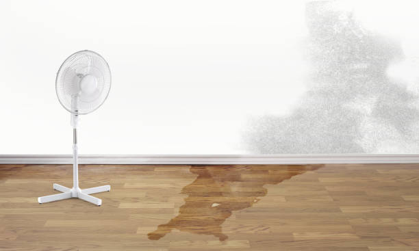 Best Residential water damage restoration  in Middleport, OH