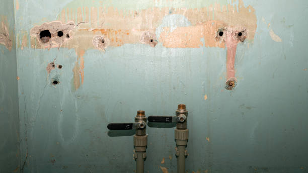 Best Water damage restoration near me  in Middleport, OH
